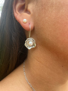 Oysters earrings